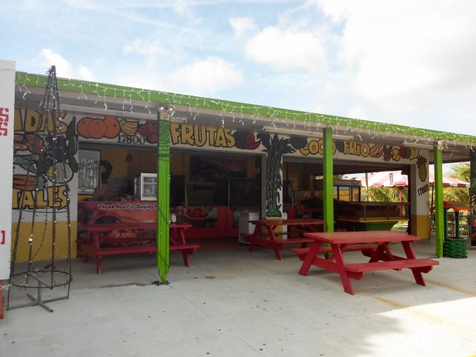 IMG_20151226_135432 (1)